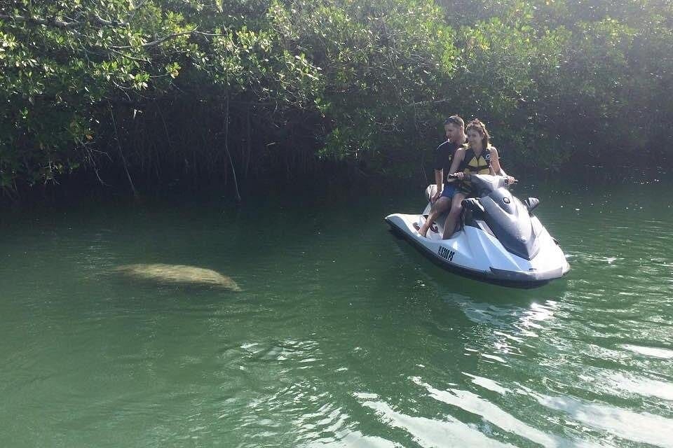 Key Largo Dolphin Jetski Tour for 2-3 Key Largo Dolphin Jetski Tour for 2-3
