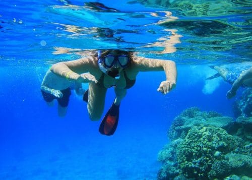Private Snorkeling Activity in Key Largo