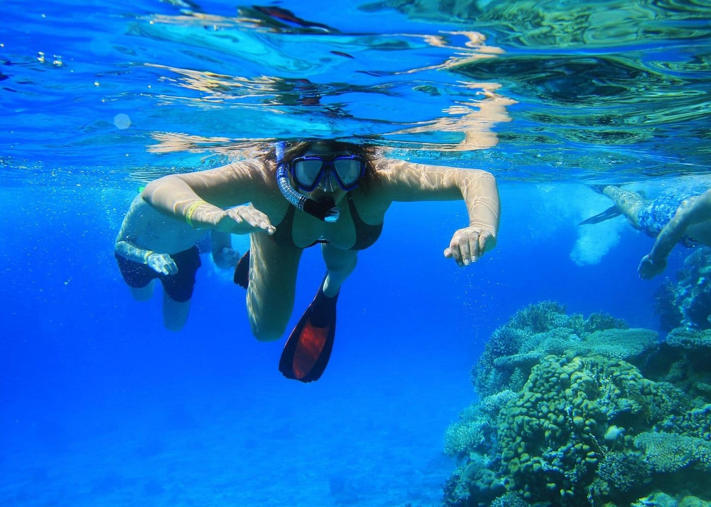 Private Snorkeling Activity in Key Largo