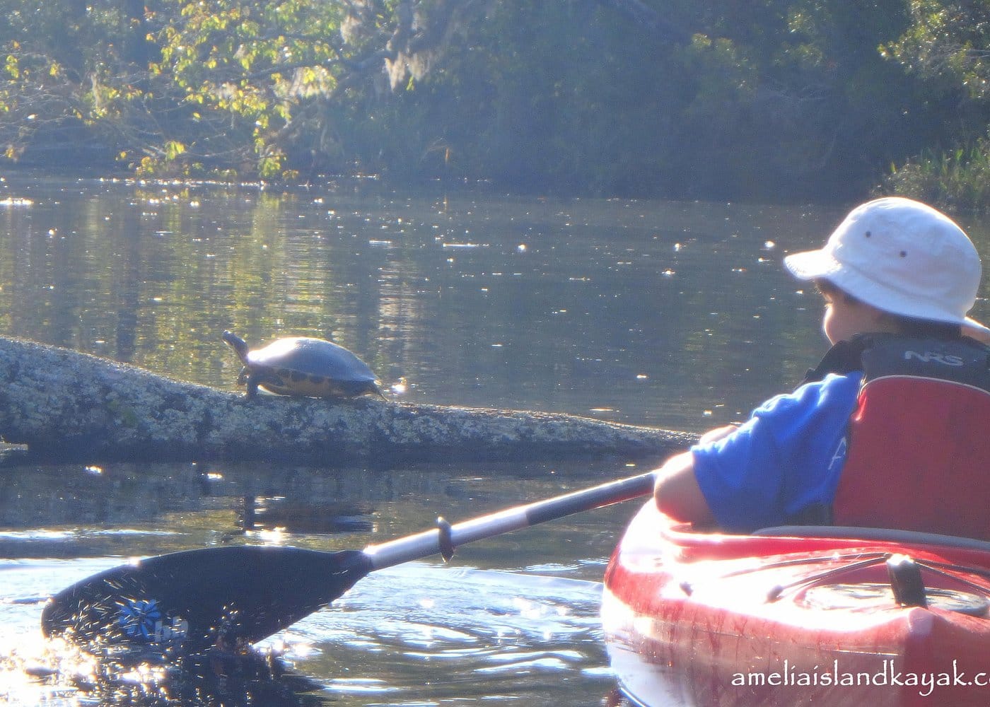 Self Guided Family Friendly Kayak Rental Experience Old Florida-2 Self Guided Family Friendly Kayak Rental Experience Old Florida-2
