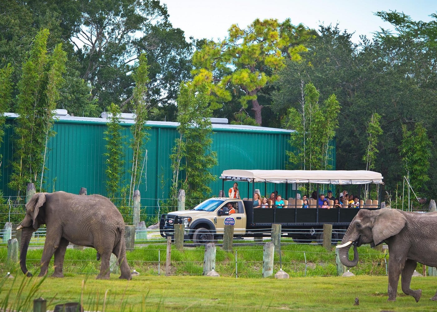Tampa’s ZooQuarium Admission-2 Tampa's ZooQuarium Admission-2