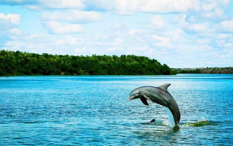 Everglades tours Everglades tours