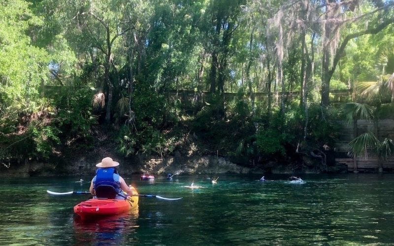 Kayak cypress lakes Kayak cypress lakes