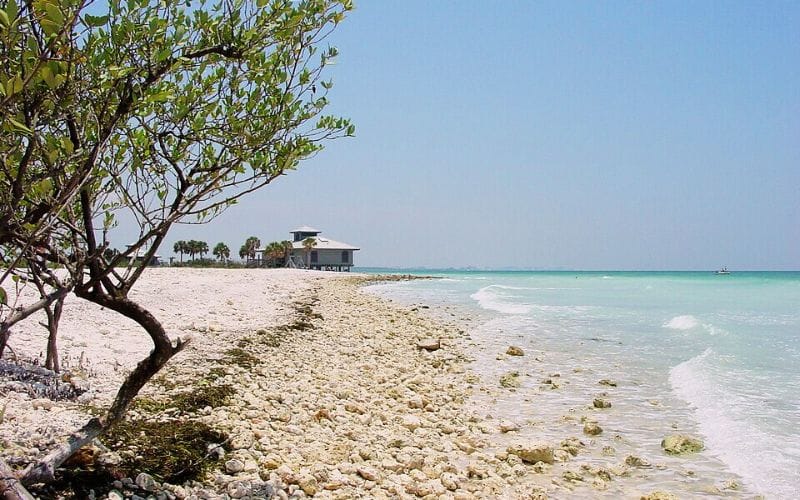 Honeymoon Island Honeymoon Island