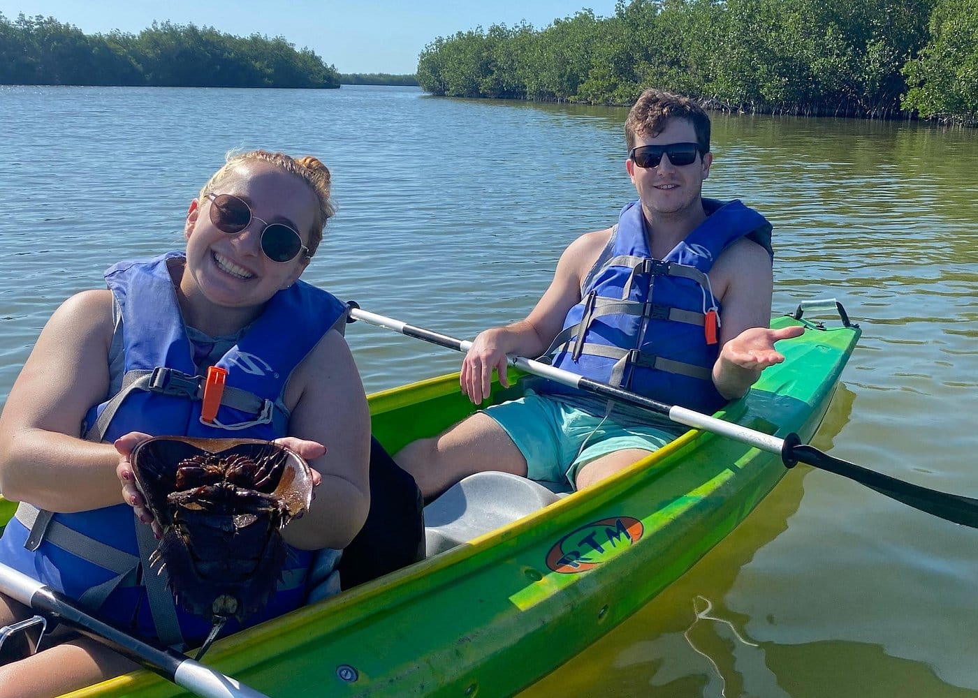 Manatee and Dolphin Kayak Tour-4