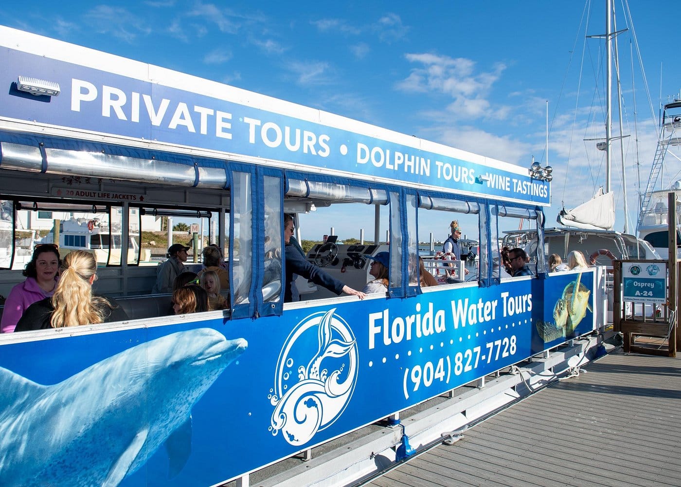 Dolphin and Wildlife Adventure of St. Augustine-3