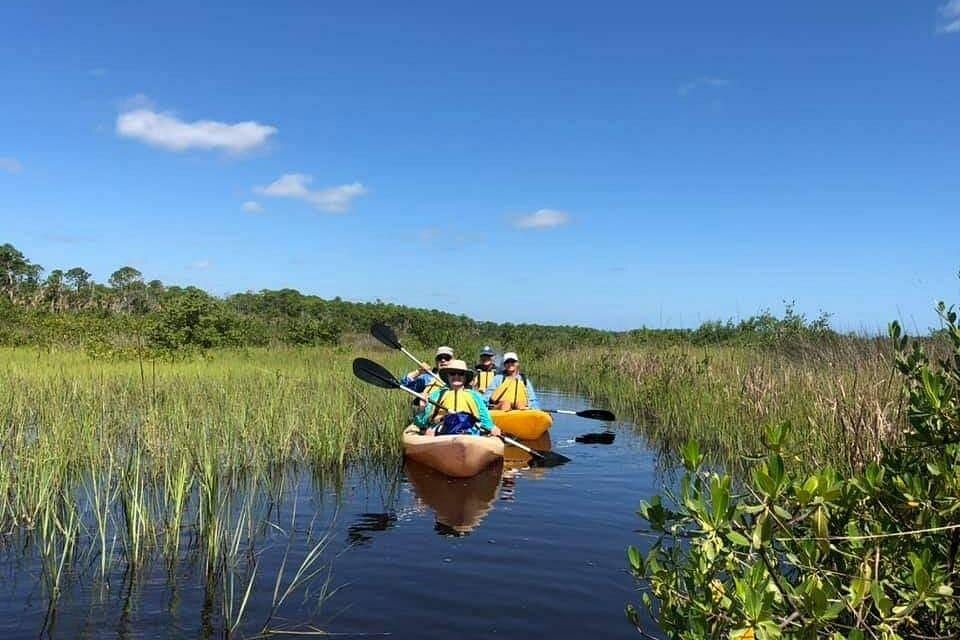 Guided Wildlife Eco Kayak Tour in New Smyrna Beach-3