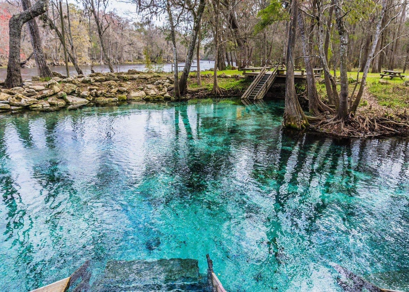 St. Johns River Cruise - Blue Spring State Park