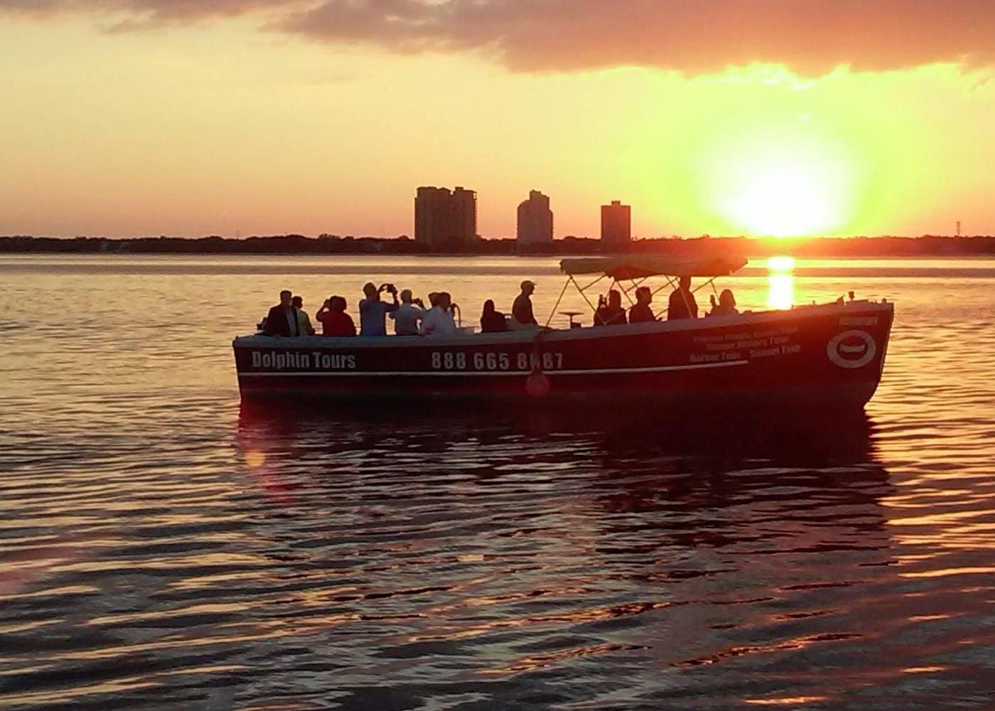 Dolphin Sightseeing Cruise from Tampa-2 Dolphin Sightseeing Cruise from Tampa-2