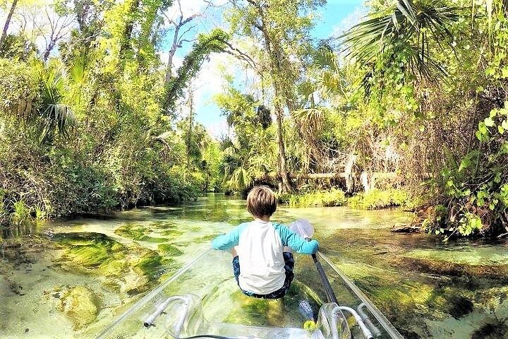 Rock Springs 2-Hour Glass Bottom Guided Kayak Eco Tour-2 Rock Springs 2-Hour Glass Bottom Guided Kayak Eco Tour-2