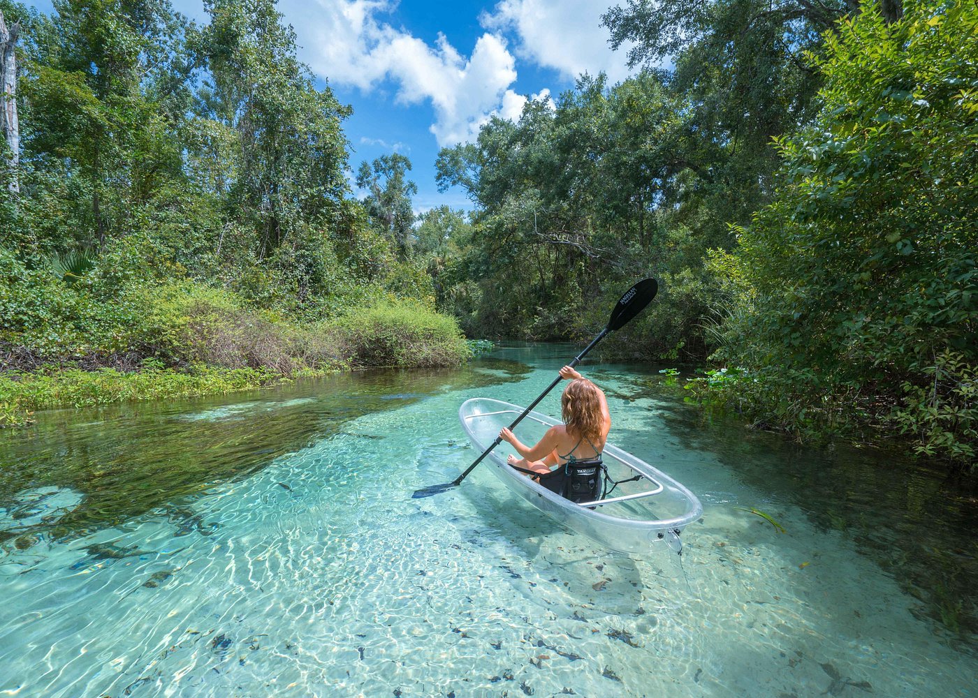 Rock Springs 2-Hour Glass Bottom Guided Kayak Eco Tour-3 Rock Springs 2-Hour Glass Bottom Guided Kayak Eco Tour-3