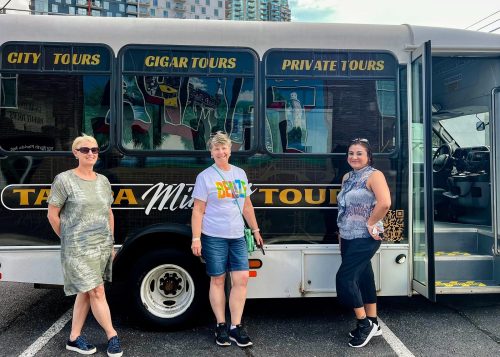 Small Group Tampa Sightseeing City Bus Tour