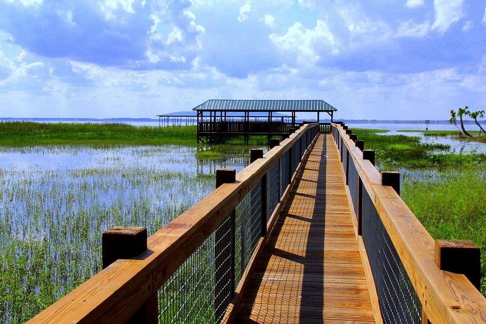 Central Florida Everglades Airboat Tour from Orlando with Pickup-1 Central Florida Everglades Airboat Tour from Orlando with Pickup-1