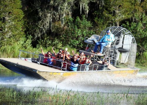 One Hour Airboat Ride Near Orlando