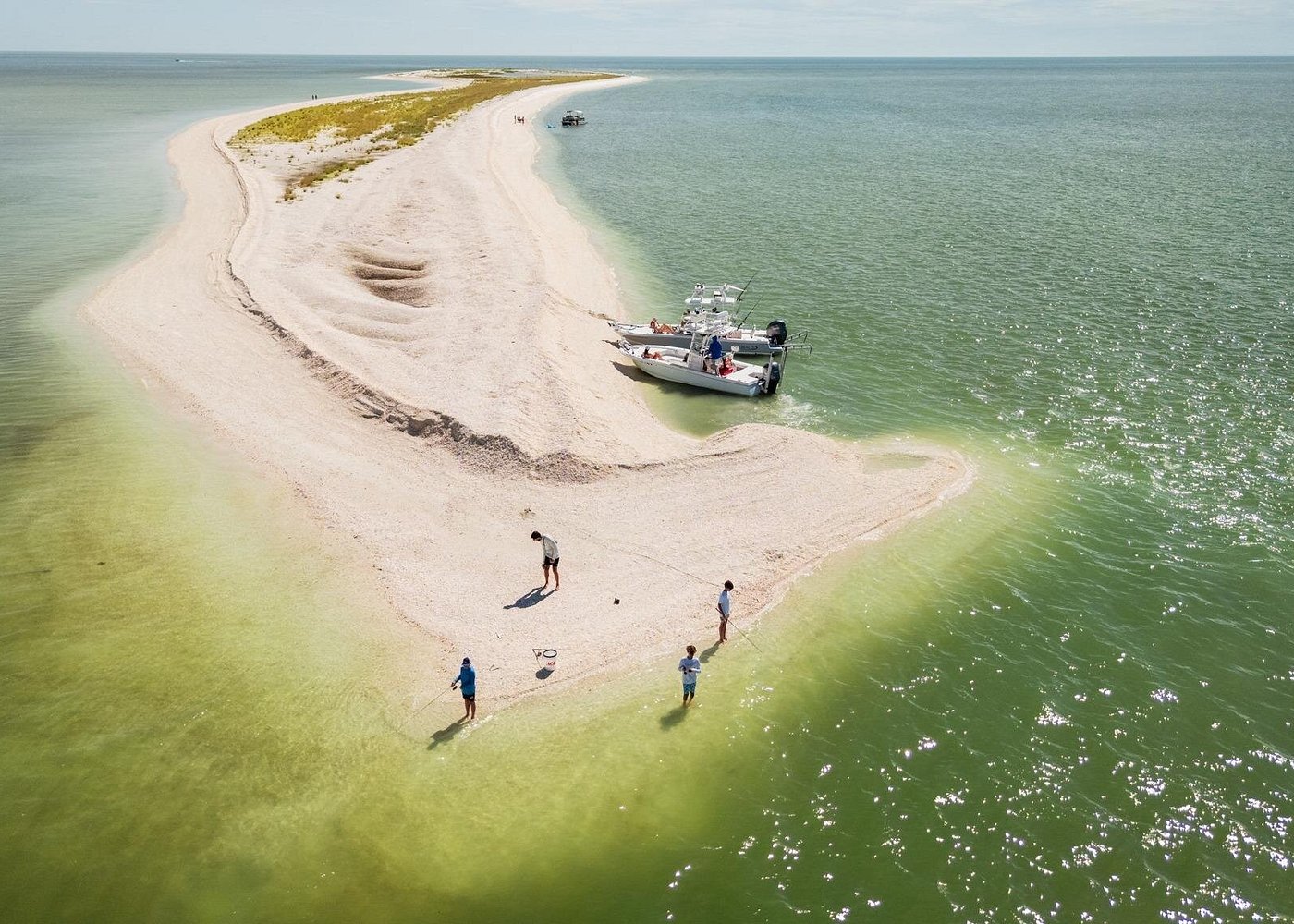 Private 4 Hour Shelling , Fishing and Eco Tour Marco Island FL-1 Private 4 Hour Shelling , Fishing and Eco Tour Marco Island FL-1