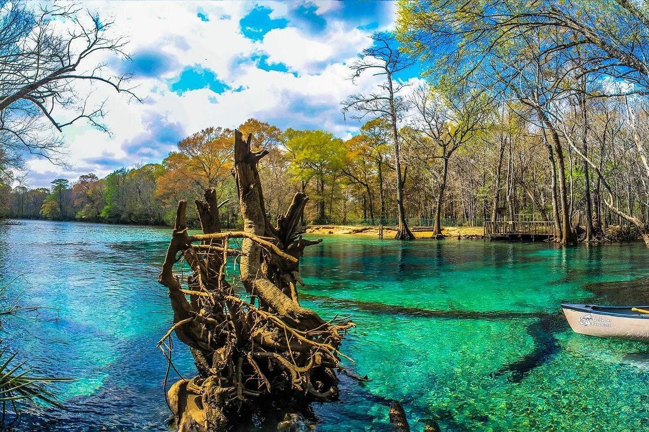 Cypress Springs Eco Adventure