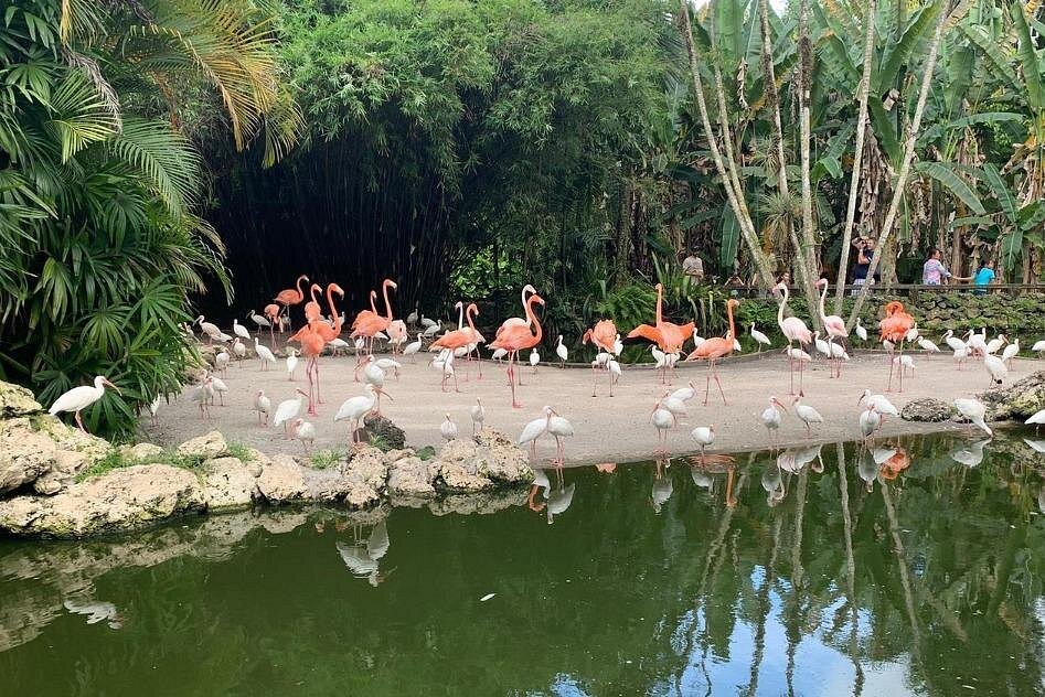 Flamingo Gardens Admission Ticket in Fort Lauderdale-1 Flamingo Gardens Admission Ticket in Fort Lauderdale-1